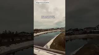 Elgün Üçün Susmayaq