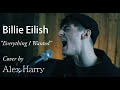 Billie Eilish Everything I Wanted Cover By Alex Harry
