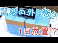 中身は何℃？雪の中に発泡箱を1日放置してみた【クワカブ豆知識】