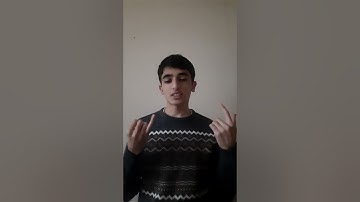 Interexchange Work and Travel cv video