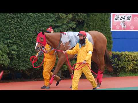 2018/03/21 浦和競馬場　その2
