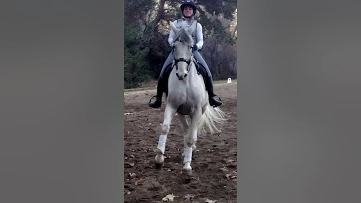 Granito And Lauren.  Volker Bromann 1.17.2018
