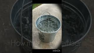 The Syllabus......... World Short