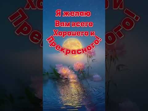 Доброго, прекрасного, летнего вечера! Приятного всем отдыха в кругу семьи и друзей!#доброговечера