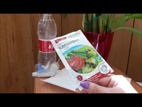 КЛЕЩЕВИТ и Зеленое мыло. Борьба с клещами идет полным ходом! - YouTube