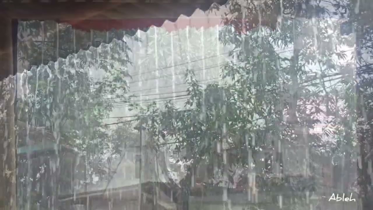 Удивительно! Это самый реалистичный звук сильного дождя на YouTube, отличная терапия для сна 🌧️.