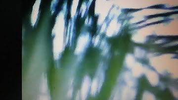 Lauren Jauregui - 50Ft (Music Video Trailer) 4/17