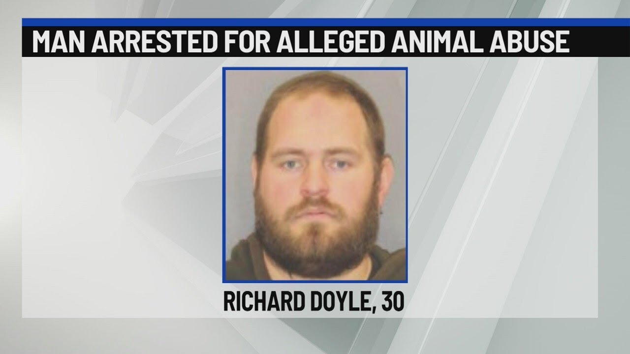 Greenfield man charged with animal abuse after dog death - YouTube