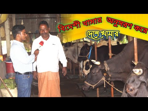 ভিডিও: স্বপ্নকে অনুসরণ করে