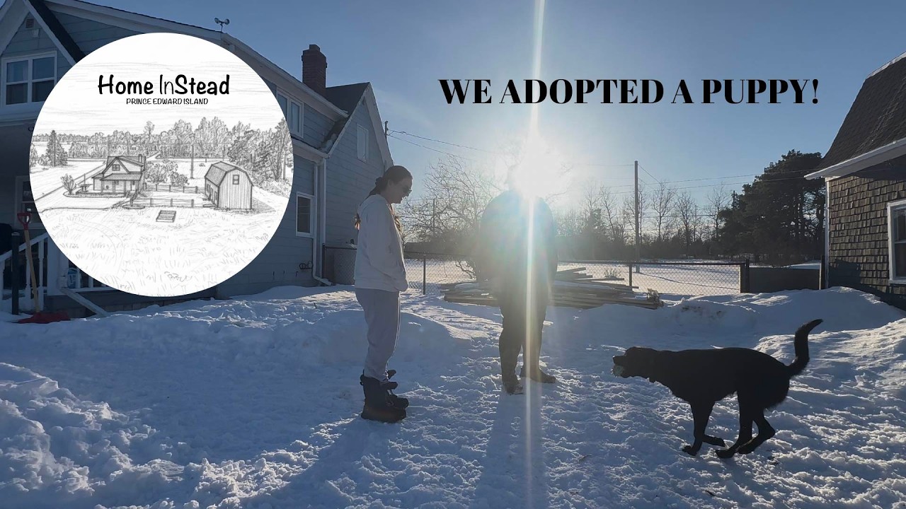 WE ADOPTED A PUPPY! - YouTube