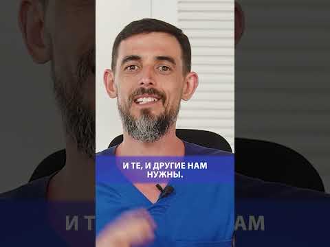Этот фрукт снижает холестерин #врач #здоровье #масгутов #доктормасгутов #shorts