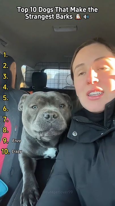 Top 10 Strangest Dog Barks You’ve Never Heard!Wait Till #5!🐾🔊🤣#tiktok #foryou #dog #dogsoftiktok #do