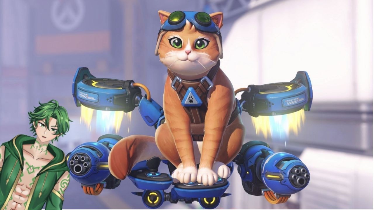 [LIVE] #1 CAT ENJOYER!! - 6V6 QP TIME