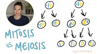 Know these Differences: Mitosis and Meiosis!