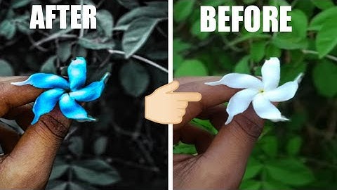 Snapseed & Abode Lightroom photo Editing Tricks|Best colour effect Android Apps|Photoshop in mobiles