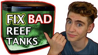 3 REASONS YOUR REEF TANK LOOKS HORRIBLE!