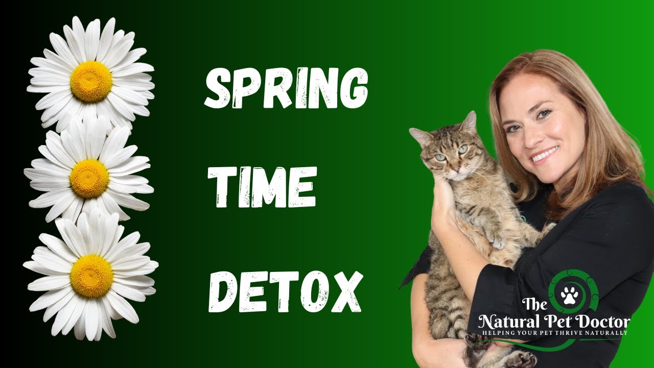 How To Do A Spring Time Cat And Dog Detox