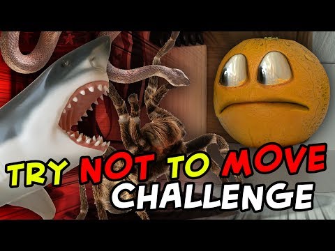 annoying-orange---try-not-to-move-challenge