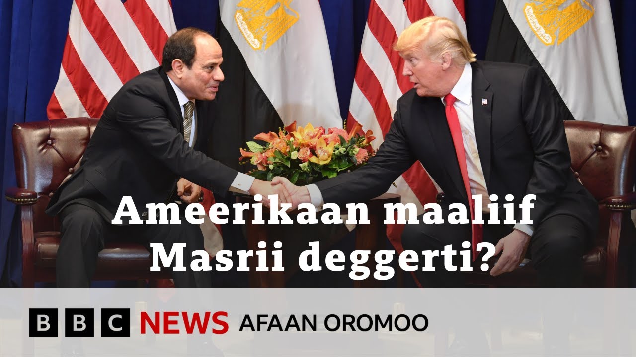 Hariiroo Ameerikaa, Masrii fi Itoophiyaa| BBC News Afaan Oromoo