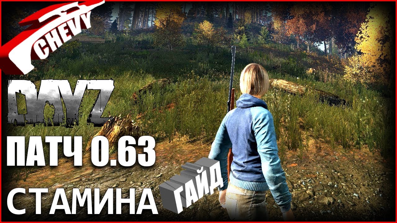 DayZ БЕТА ПАТЧ 0.63 - СТАМИНА (гайд)