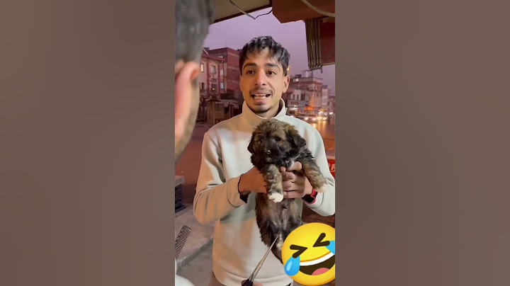 حلاق للكلاب فقط!!😂😂( نزار الحموي#shorts