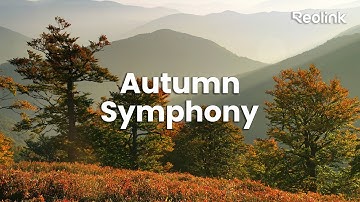 Every Moment Captured: Autumn Through the Eyes of Reolink