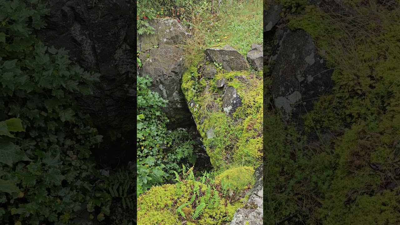 Карелия. Медвежьегорск. Гора Лысуха. Karelia. Medvezhyegorsk. Mount Lysukha