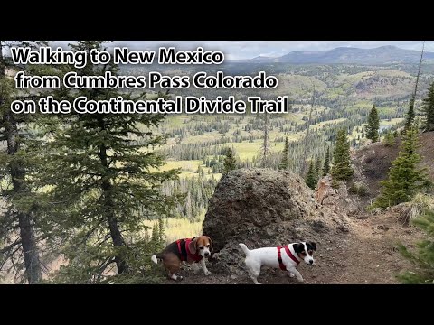Hike: CDT from Cumbres Pass Colorado ➡️ New Mexico Out and Back May 20, 2026
