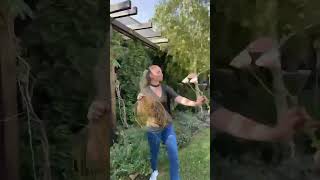 Buchete Flori Constanta