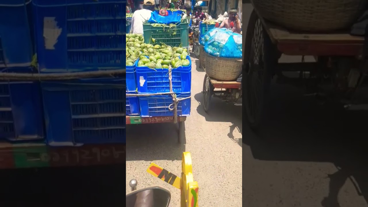 mango market