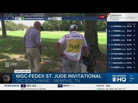 bryson-tries-to-get-free-relief-from-an-ant---golf-rules