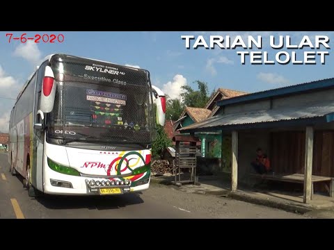 Berbagai Bus Jalur Utara | Po. Haryanto | New Shantika | Telolet Penari Ular Bus New Shantika