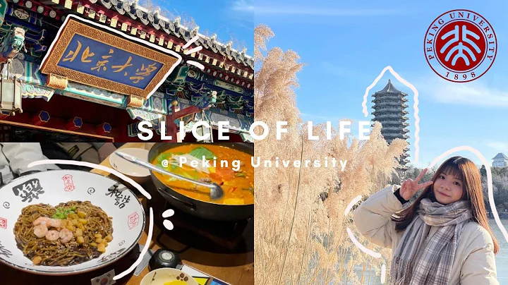 vlog#2  北京大學期末前的快樂碎片｜逛校園、未名湖、吃喝玩樂 ｜PKU VLOG🥰 - 天天要聞