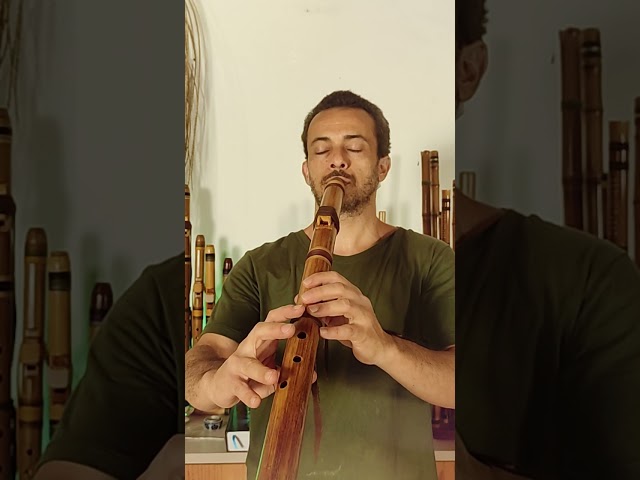 Prova del suono | Flauto nativo | Stile NAF | River Cane D #flautanativa 
