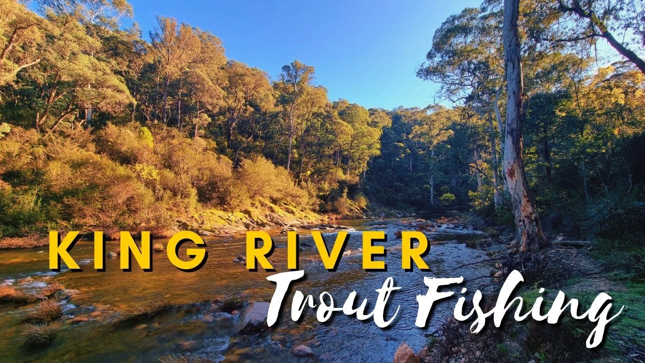 Trout Fishing Victoria’s King River - Grim Start to the 2025 Trout ...