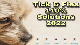 Whats the best flea and tick treatment for dogs II Bravecto II Tick and flea treatment for Dogs