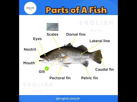 Parts of a