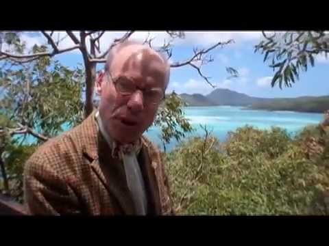 PROFESSOR KNESTOR on Whitehaven Beach, Australia