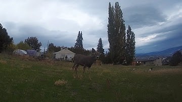 Dropping In On The Neighbors