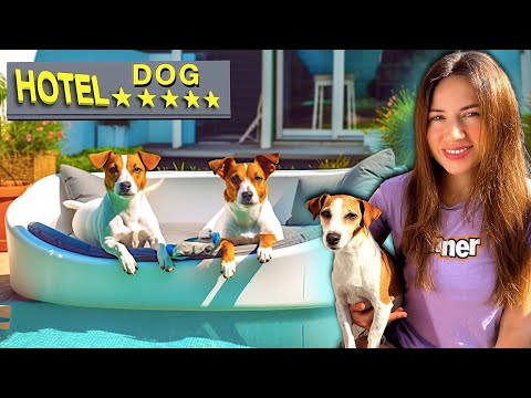 Видео: ШОУ ГОСТИНИЦА ДЛЯ СОБАК - ВСЕ СЕРИИ | Elli Di Pets