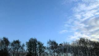 Jimbodiddly's Y6 Maiden Test Flight