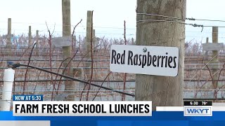 Top Stories: WKYT News at 5:30 PM (3/31/2026)