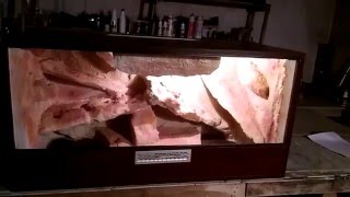 Terrarium 1206060 Orzech, Stworosfera