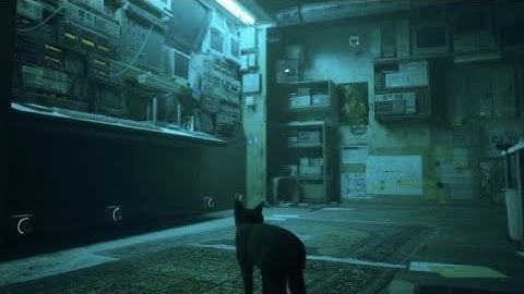 STRAY 4 BATTERIES LOCATION  (THE FLAT)