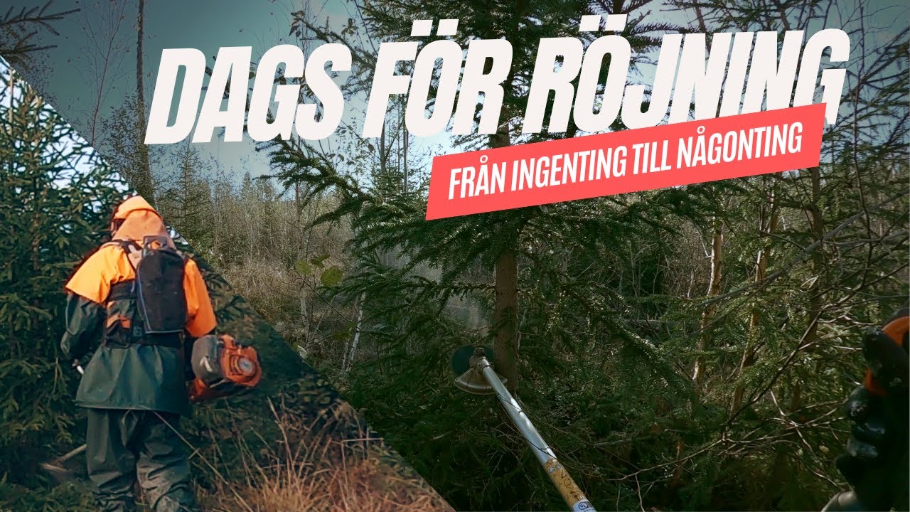 UNDER +5, DAGS ATT RÖJA | TIME FOR CLEARING.