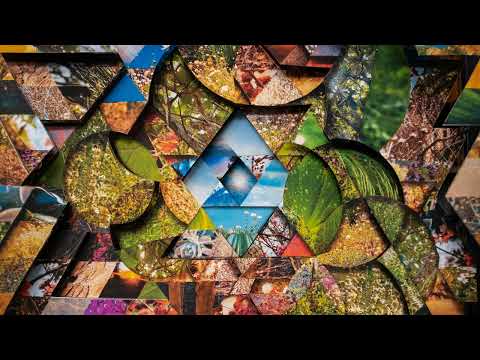 Miguel Atwood-Ferguson - 'Dream Dance' (Official Audio)