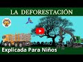 DEFORESTACIÓN | Tala de los árboles | Videos Educativos Para Niños