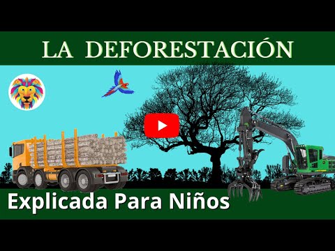 Video: ¿Qué es la tala total en la deforestación?