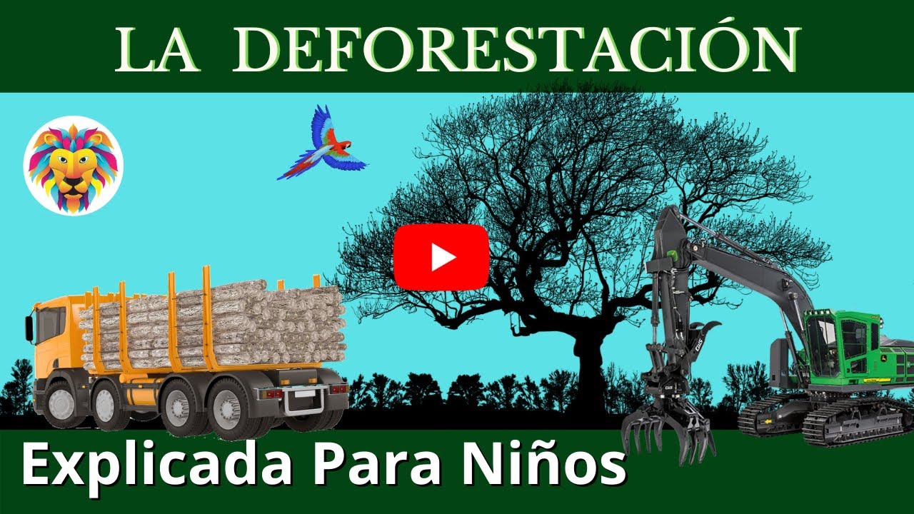 DEFORESTACIÓN | Tala de los árboles | Videos Educativos Para Niños