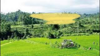 Sammy Simorangkir - Sudahi Semua ini (Lyric)